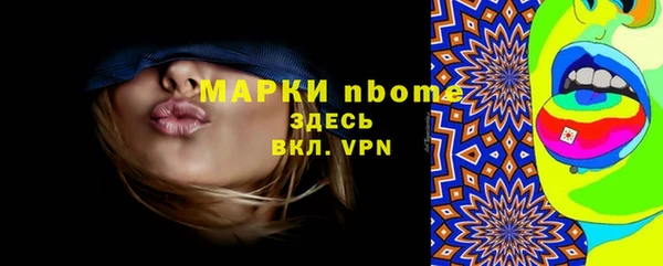 мет Алексин