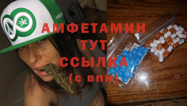 spice Алзамай