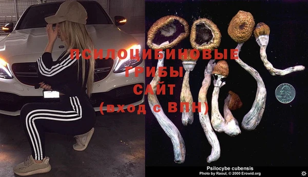 винт Протвино