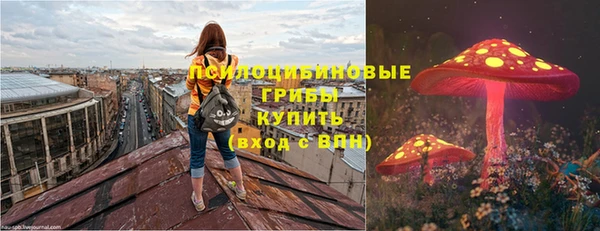 мет Алексин