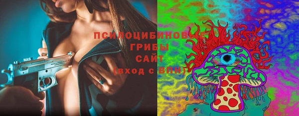 spice Алзамай