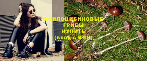 spice Алзамай