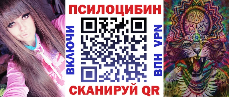 цена наркотик  Бахчисарай  blacksprut сайт  Псилоцибиновые грибы Psilocybe 